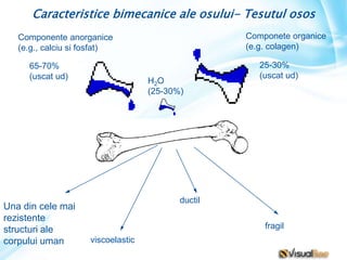 Componete organice
(e.g. colagen)
Componente anorganice
(e.g., calciu si fosfat)
65-70%
(uscat ud)
H2O
(25-30%)
Una din cele mai
rezistente
structuri ale
corpului uman viscoelastic
ductil
fragil
Caracteristice bimecanice ale osului- Tesutul osos
25-30%
(uscat ud)
 