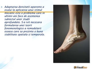 > Adaptarea densitatii aparente a
osului la aplicarea unui stimul
mecanic este o problema care in
ultimii ani face de asemenea
subiectul unor studii
aprofundate. S-a ivit necesara
formularea unei teorii
fenomenologice a remodelarii
osoase care sa prezinte o buna
stabilitate spatiala si temporala.
 