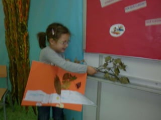 Poemes Visuals P5 Curs 2012 13