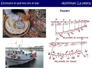 Escoltant el què ens diu el mar    Activitat: La pesca

                                  Palangre
 