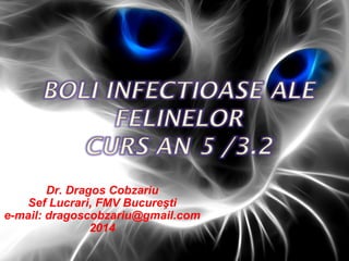 Dr. Dragos Cobzariu
Sef Lucrari, FMV Bucureşti
e-mail: dragoscobzariu@gmail.com
2014
 