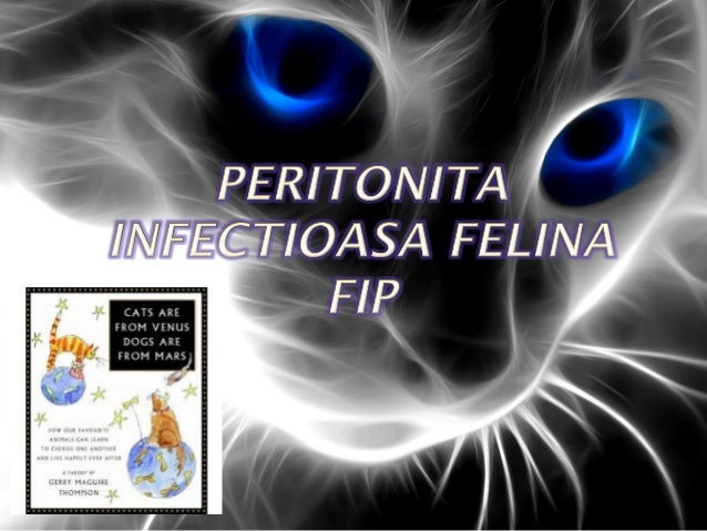 Curs an5 pisici Peritonita Infectioasa Felina-FCoV-FPV