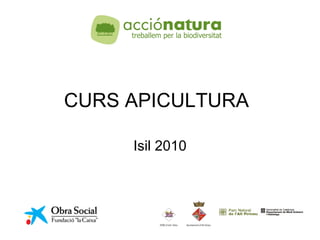 CURS APICULTURA Isil 2010 