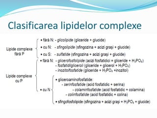 Clasificarea lipidelor complexe
 