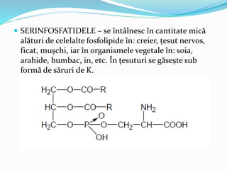  SERINFOSFATIDELE – se întâlnesc în cantitate mică
alături de celelalte fosfolipide în: creier, țesut nervos,
ficat, mușchi, iar în organismele vegetale în: soia,
arahide, bumbac, in, etc. În țesuturi se găsește sub
formă de săruri de K.
 