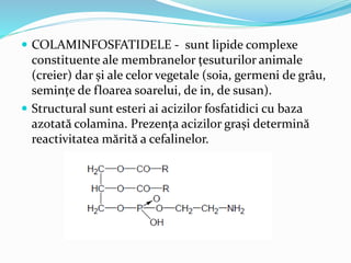  COLAMINFOSFATIDELE - sunt lipide complexe
constituente ale membranelor țesuturilor animale
(creier) dar și ale celor vegetale (soia, germeni de grâu,
semințe de floarea soarelui, de in, de susan).
 Structural sunt esteri ai acizilor fosfatidici cu baza
azotată colamina. Prezența acizilor grași determină
reactivitatea mărită a cefalinelor.
 