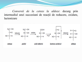 Conversii de la cetoze la aldoze: decurg prin
intermediul unei succesiuni de reacții de reducere, oxidare,
lactonizare
 
