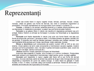 Reprezentanți
 