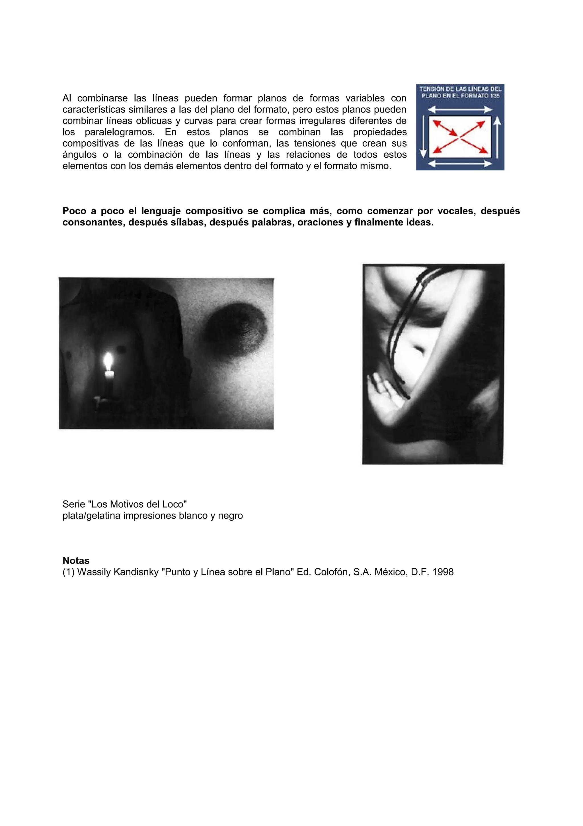Al combinarse las líneas pueden formar planos de formas variables con
características similares a las del plano del formato, pero estos planos pueden
combinar líneas oblicuas y curvas para crear formas irregulares diferentes de
los paralelogramos. En estos planos se combinan las propiedades
compositivas de las líneas que lo conforman, las tensiones que crean sus
ángulos o la combinación de las líneas y las relaciones de todos estos
elementos con los demás elementos dentro del formato y el formato mismo.
Poco a poco el lenguaje compositivo se complica más, como comenzar por vocales, después
consonantes, después sílabas, después palabras, oraciones y finalmente ideas.
Serie "Los Motivos del Loco"
plata/gelatina impresiones blanco y negro
Notas
(1) Wassily Kandisnky "Punto y Línea sobre el Plano" Ed. Colofón, S.A. México, D.F. 1998
 