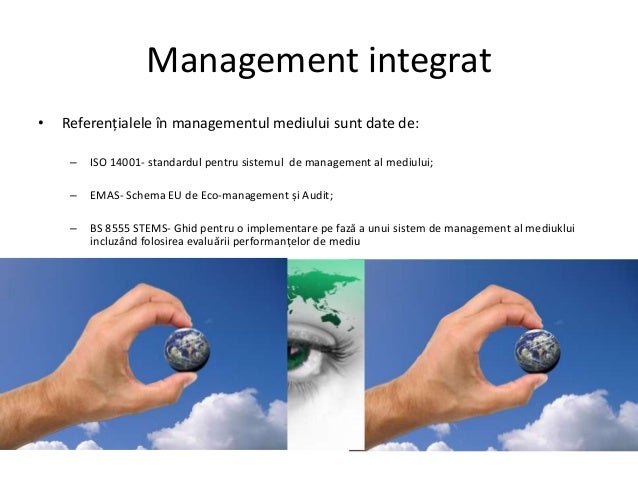 Curs De Management Integrat Modul 1