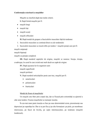 Conformaţia exterioară a muşchilor
Muşchii se clasifică după mai multe criterii.
I. După formă muşchii pot fi:
• muşchi lungi
• muşchi laţi
• muşchi scurţi
• muşchi orbiculari
II. După modul de grupare a fasciculelor musculare faţă de tendoane:
1. fasciculele musculare se continuă direct cu ale tendonului
2. fasciculele musculare se inseră oblic pe tendon = muşchii penaţi care pot fi:
muşchi unipenaţi
muşchi bipenaţi
muşchi cu penaţie complexă
III. După numărul capetelor de origine, muşchii se numesc: biceps, triceps,
cvadriceps, în cazul în care există mai mult decât un capăt de origine
IV. După aşezarea lor în organism sunt:
muşchi superficiali
muşchi profunzi
V. După numărul articulaţiilor peste care trec, muşchii pot fi:
• uniarticulari
• poliarticulari
• biarticulari
Modul de fixare al muşchiului
Un muşchi este liber prin corpul său, dar se fixează prin extremităţi cu ajutorul a
câte unui tendon. Fixarea muşchiului se numeşte inserţie.
În cea mai mare parte inserţia se face pe oase determinând creste, proeminenţe sau
depresiuni pe suprafaţa lor. Dar ei se pot fixa şi pe alte formaţiuni: pe piele, pe membrane
interosoase, pe fascii de înveliş, pe septe intermusculare, pe tendoane (muşchii
lombricali).
 
