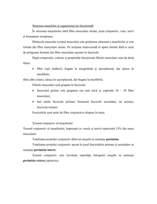 Structura muşchilor şi organizarea lor funcţională
În structura muşchiului intră fibre musculare striate, ţesut conjunctiv, vase, nervi
şi formaţiuni receptoare.
Pântecele muscular (corpul muscular) este porţiunea cărnoasă a muşchiului şi este
format din fibre musculare striate. Pe secţiune transversală el apare format dintr-o serie
de poligoane formate din fibre musculare aşezate în fascicule.
După compoziţie, culoare şi proprietăţi funcţionale fibrele musculare sunt de două
feluri:
• fibre roşii (tulburi), bogate în mioglobină şi sarcoplasmă, dar sărace în
miofibrile.
fibre albe (clare), sărace în sacroplasmă, dar bogate în miofibrile.
Fibrele musculare sunt grupate în facsicule:
• fasciculul primar este gruparea cea mai mică şi cuprinde 10 – 30 fibre
musculare;
• mai multe fascicule primare formează fascicule secundare, iar acestea,
fascicule terţiare.
Fasciculele sunt unite de fibre conjunctive dispuse în reţea.
Ţesutul conjunctiv al muşchiului
Tesutul conjunctiv al muşchiului, împreună cu vasele şi nervii reprezintă 15% din masa
musculară.
Totalitatea ţesutului conjunctiv dintr-un muşchi se numeşte perimisiu.
Totalitatea ţesutului conjunctiv aşezat în jurul fasciculelor primare şi secundare se
numeşte perimisiu intern.
Ţesutul conjunctiv care înveleşte suprafaţa întregului muşchi se numeşte
perimisiu extern (epimisiu).
 