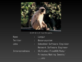 CC-BY-SA 3.0 from Wikipedia
Name : Langur
Twitter : @osarusystem
Jobs : Embedded Software Engineer
Network Software Engine...