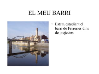 EL MEU BARRI ,[object Object]