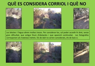 QUÈ ES CONSIDERA CORRIOL I QUÈ NO
Les bèsties i l’aigua obren moltes traces. Per considerar-los, cal poder accedir-hi dret, sense
gran dificultat, que estigui lliure d’obstacles i que aparenti continuïtat. Les fotografies
corresponen als mateixos indrets. Els de dalt no serien considerats, els de baix si.
 