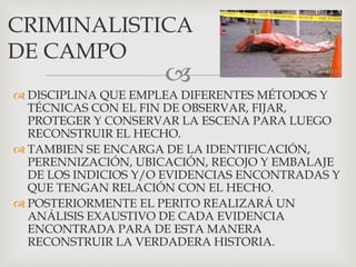 
 DISCIPLINA QUE EMPLEA DIFERENTES MÉTODOS Y
TÉCNICAS CON EL FIN DE OBSERVAR, FIJAR,
PROTEGER Y CONSERVAR LA ESCENA PARA LUEGO
RECONSTRUIR EL HECHO.
 TAMBIEN SE ENCARGA DE LA IDENTIFICACIÓN,
PERENNIZACIÓN, UBICACIÓN, RECOJO Y EMBALAJE
DE LOS INDICIOS Y/O EVIDENCIAS ENCONTRADAS Y
QUE TENGAN RELACIÓN CON EL HECHO.
 POSTERIORMENTE EL PERITO REALIZARÁ UN
ANÁLISIS EXAUSTIVO DE CADA EVIDENCIA
ENCONTRADA PARA DE ESTA MANERA
RECONSTRUIR LA VERDADERA HISTORIA.
CRIMINALISTICA
DE CAMPO
 