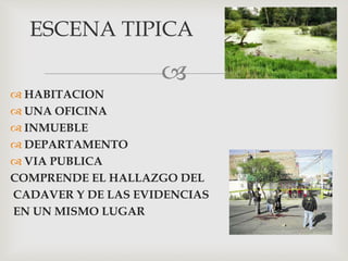 
 HABITACION
 UNA OFICINA
 INMUEBLE
 DEPARTAMENTO
 VIA PUBLICA
COMPRENDE EL HALLAZGO DEL
CADAVER Y DE LAS EVIDENCIAS
EN UN MISMO LUGAR
ESCENA TIPICA
 
