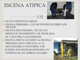 
 OCUPA DISTINTAS AREAS:
 ESCENA PRIMARIA : LUGAR DONDE OCURRIO LOS
HECHOS
 ESCENA SECUNDARIA : SE USA UN
MEDIO DE TRANSPORTE Y SE TRASLADA
EL CADAVER O LOS INDICIOS
 ESCENA MIXTA CUANDO LA ESCENA
PRIMARIA ESTA CERCANA A LA
SECUNDARIO O VICEVERSA Y SE
PUEDEN ENCONTRAR INDICIOS Y/O
EVIDENCIAS. EN AMBOS LUGARES
ESCENA ATIPICA
 