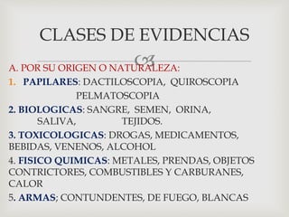 A. POR SU ORIGEN O NATURALEZA:
1. PAPILARES: DACTILOSCOPIA, QUIROSCOPIA
PELMATOSCOPIA
2. BIOLOGICAS: SANGRE, SEMEN, ORINA,
SALIVA, TEJIDOS.
3. TOXICOLOGICAS: DROGAS, MEDICAMENTOS,
BEBIDAS, VENENOS, ALCOHOL
4. FISICO QUIMICAS: METALES, PRENDAS, OBJETOS
CONTRICTORES, COMBUSTIBLES Y CARBURANES,
CALOR
5. ARMAS; CONTUNDENTES, DE FUEGO, BLANCAS
CLASES DE EVIDENCIAS
 