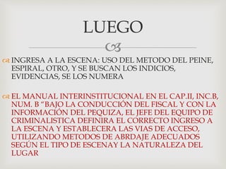 
 INGRESA A LA ESCENA: USO DEL METODO DEL PEINE,
ESPIRAL, OTRO, Y SE BUSCAN LOS INDICIOS,
EVIDENCIAS, SE LOS NUMERA
 EL MANUAL INTERINSTITUCIONAL EN EL CAP.II, INC.B,
NUM. B “BAJO LA CONDUCCIÓN DEL FISCAL Y CON LA
INFORMACIÓN DEL PEQUIZA, EL JEFE DEL EQUIPO DE
CRIMINALISTICA DEFINIRA EL CORRECTO INGRESO A
LA ESCENA Y ESTABLECERA LAS VIAS DE ACCESO,
UTILIZANDO METODOS DE ABRDAJE ADECUADOS
SEGÚN EL TIPO DE ESCENAY LA NATURALEZA DEL
LUGAR
LUEGO
 