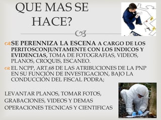 
SE PERENNIZA LA ESCENA A CARGO DE LOS
PERITOSCONJUNTAMENTE CON LOS INDICOS Y
EVIDENCIAS, TOMA DE FOTOGRAFIAS, VIDEOS,
PLANOS, CROQUIS, ESCANEO.
 EL NCPP, ART.68 DE LAS ATRIBUCIONES DE LA PNP
EN SU FUNCIÓN DE INVESTIGACION, BAJO LA
CONDUCCIÓN DEL FISCAL PODRA;
LEVANTAR PLANOS, TOMAR FOTOS,
GRABACIONES, VIDEOS Y DEMAS
OPERACIONES TECNICAS Y CIENTIFICAS
QUE MAS SE
HACE?
 
