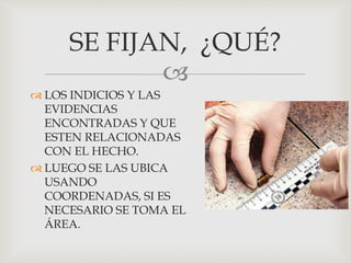 
 LOS INDICIOS Y LAS
EVIDENCIAS
ENCONTRADAS Y QUE
ESTEN RELACIONADAS
CON EL HECHO.
 LUEGO SE LAS UBICA
USANDO
COORDENADAS, SI ES
NECESARIO SE TOMA EL
ÁREA.
SE FIJAN, ¿QUÉ?
 