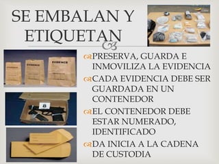 
PRESERVA, GUARDA E
INMOVILIZA LA EVIDENCIA
CADA EVIDENCIA DEBE SER
GUARDADA EN UN
CONTENEDOR
EL CONTENEDOR DEBE
ESTAR NUMERADO,
IDENTIFICADO
DA INICIA A LA CADENA
DE CUSTODIA
SE EMBALAN Y
ETIQUETAN
 