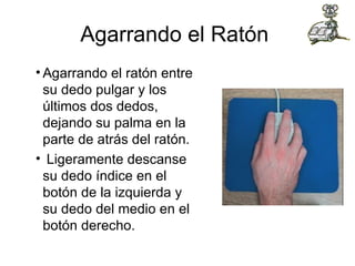 Agarrando el Ratón  Agarrando el ratón entre su dedo pulgar y los últimos dos dedos, dejando su palma en la parte de atrás del ratón. Ligeramente descanse su dedo índice en el botón de la izquierda y su dedo del medio en el botón derecho. 