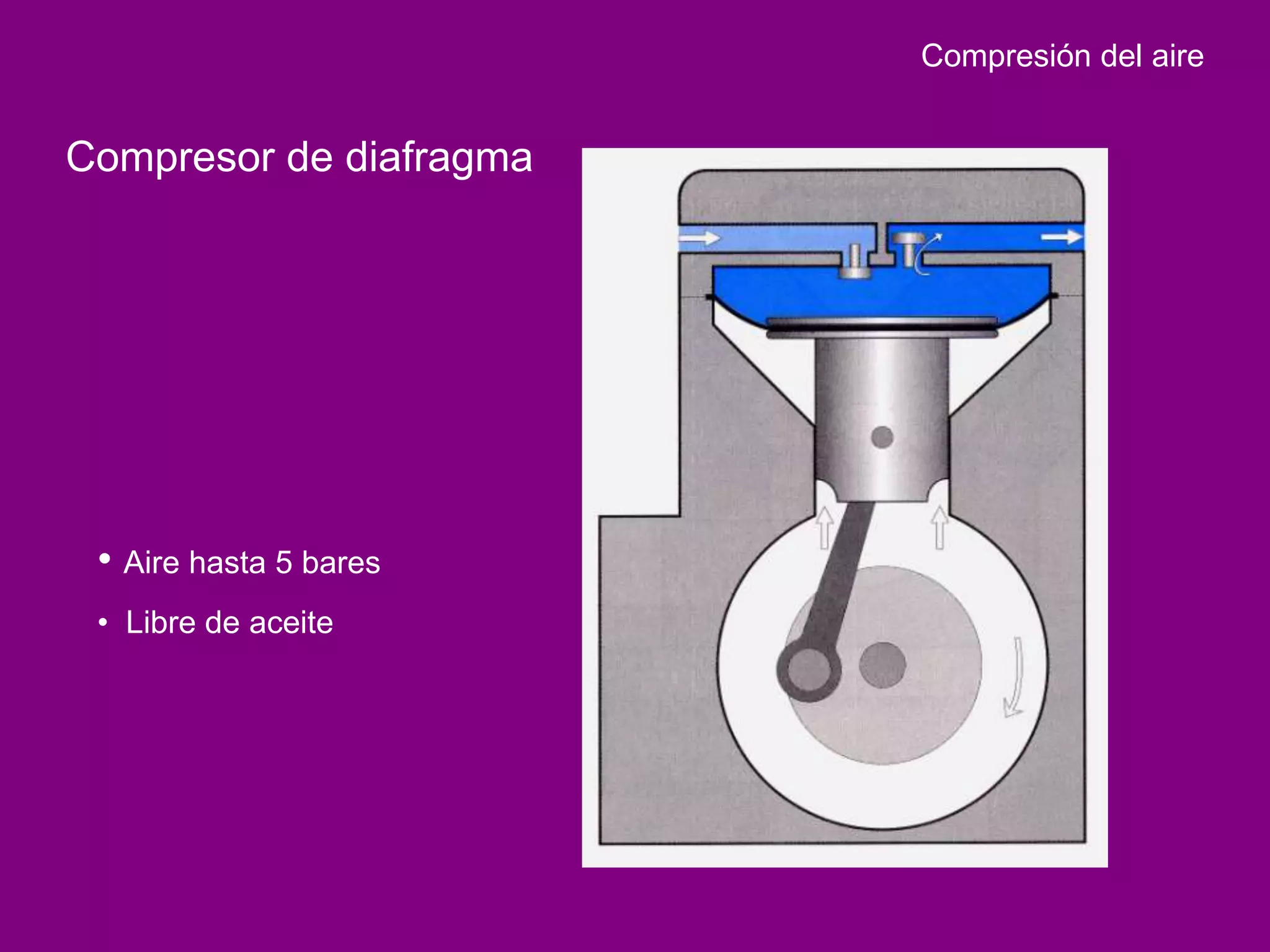 Compresión del aire


Compresor de diafragma




 • Aire hasta 5 bares
 • Libre de aceite
 