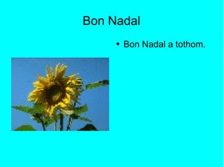 Bon Nadal Bon Nadal a tothom. 