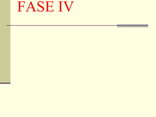 FASE IV 