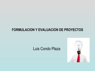 FORMULACION Y EVALUACION DE PROYECTOS Luis Condo Plaza 