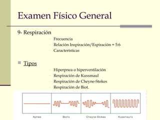 Examen Físico General
9- Respiración
- Frecuencia
- Relación Inspiración/Espiración = 5:6
- Características
 Tipos
- Hiperpnea o hiperventilación
- Respiración de Kussmaul
- Respiración de Cheyne-Stokes
- Respiración de Biot.
 