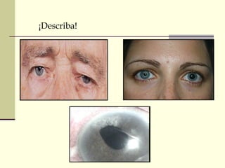 ¡Describa!
 