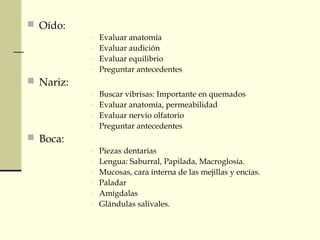  Oído:
- Evaluar anatomía
- Evaluar audición
- Evaluar equilibrio
- Preguntar antecedentes
 Nariz:
- Buscar vibrisas: Importante en quemados
- Evaluar anatomía, permeabilidad
- Evaluar nervio olfatorio
- Preguntar antecedentes
 Boca:
- Piezas dentarias
- Lengua: Saburral, Papilada, Macroglosia.
- Mucosas, cara interna de las mejillas y encías.
- Paladar
- Amígdalas
- Glándulas salivales.
 