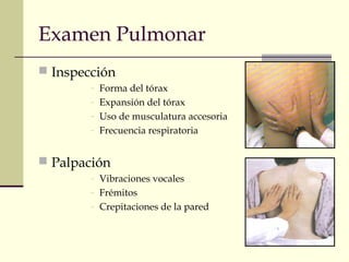 Examen Pulmonar
 Inspección
- Forma del tórax
- Expansión del tórax
- Uso de musculatura accesoria
- Frecuencia respiratoria
 Palpación
- Vibraciones vocales
- Frémitos
- Crepitaciones de la pared
 