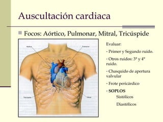 Auscultación cardiaca
 Focos: Aórtico, Pulmonar, Mitral, Tricúspide
Evaluar:
- Primer y Segundo ruido.
- Otros ruidos: 3° y 4°
ruido.
- Chasquido de apertura
valvular
- Frote pericárdico
- SOPLOS
Sistólicos
Diastólicos
 