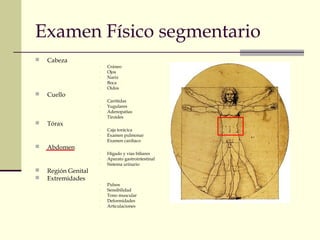 Examen Físico segmentario
 Cabeza
- Cráneo
- Ojos
- Nariz
- Boca
- Oídos
 Cuello
- Carótidas
- Yugulares
- Adenopatías
- Tiroides
 Tórax
- Caja torácica
- Examen pulmonar
- Examen cardiaco
 Abdomen
- Hígado y vías biliares
- Aparato gastrointestinal
- Sistema urinario
 Región Genital
 Extremidades
- Pulsos
- Sensibilidad
- Tono muscular
- Deformidades
- Articulaciones
 