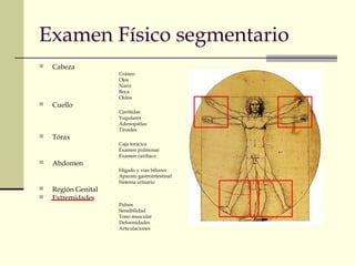 Examen Físico segmentario
 Cabeza
- Cráneo
- Ojos
- Nariz
- Boca
- Oídos
 Cuello
- Carótidas
- Yugulares
- Adenopatías
- Tiroides
 Tórax
- Caja torácica
- Examen pulmonar
- Examen cardiaco
 Abdomen
- Hígado y vías biliares
- Aparato gastrointestinal
- Sistema urinario
 Región Genital
 Extremidades
- Pulsos
- Sensibilidad
- Tono muscular
- Deformidades
- Articulaciones
 