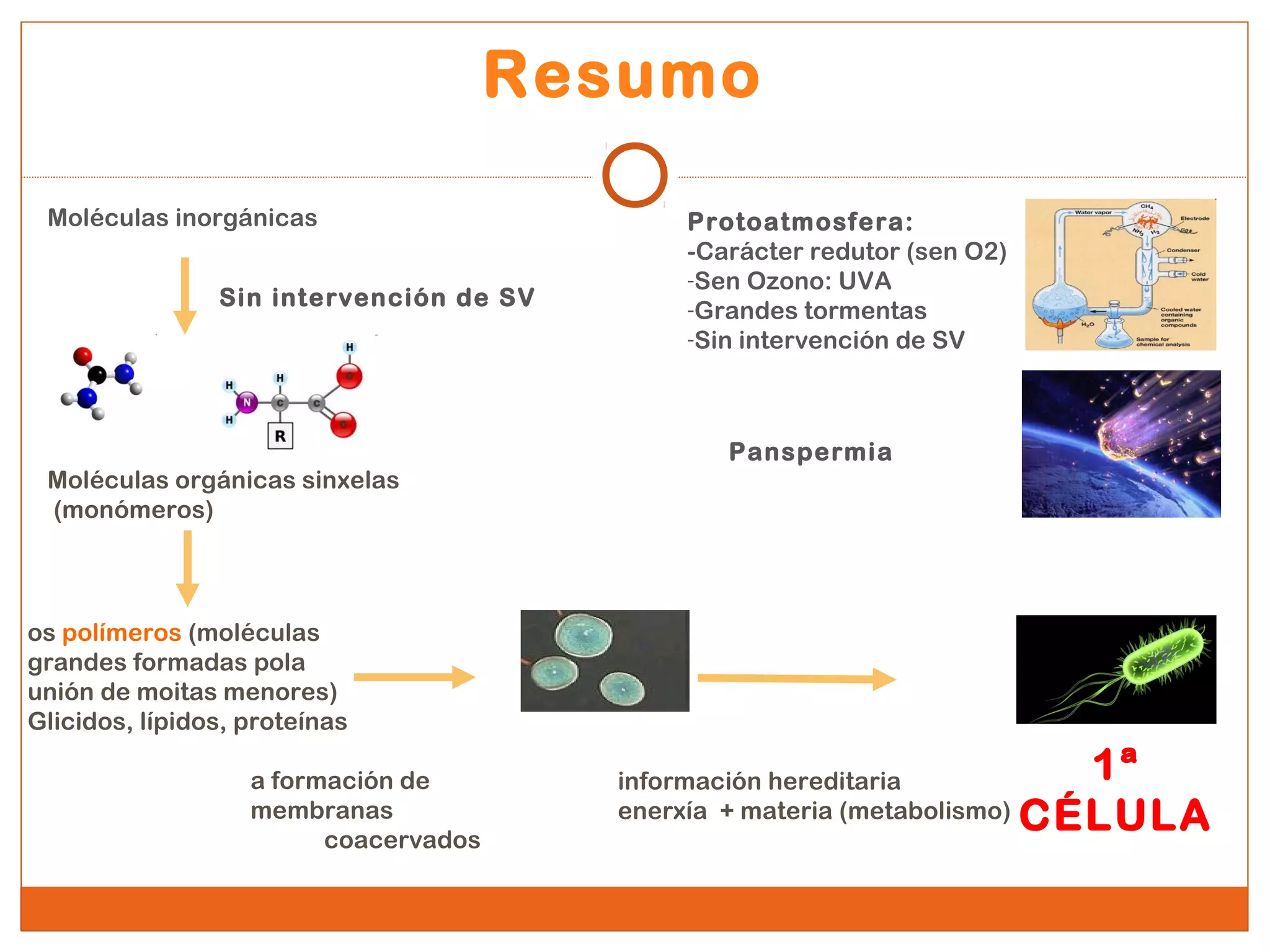 Moléculas orgánicas sinxelas 
(monómeros) 
os polímeros (moléculas 
grandes formadas pola 
unión de moitas menores) 
Glicidos, lípidos, proteínas 
1ª 
CÉLULA 
a formación de 
membranas 
coacervados 
Resumo 
Protoatmosfera: 
-Carácter redutor (sen O2) 
-Sen Ozono: UVA 
-Grandes tormentas 
-Sin intervención de SV 
información hereditaria 
enerxía + materia (metabolismo) 
Moléculas inorgánicas 
Sin intervención de SV 
Panspermia 
 