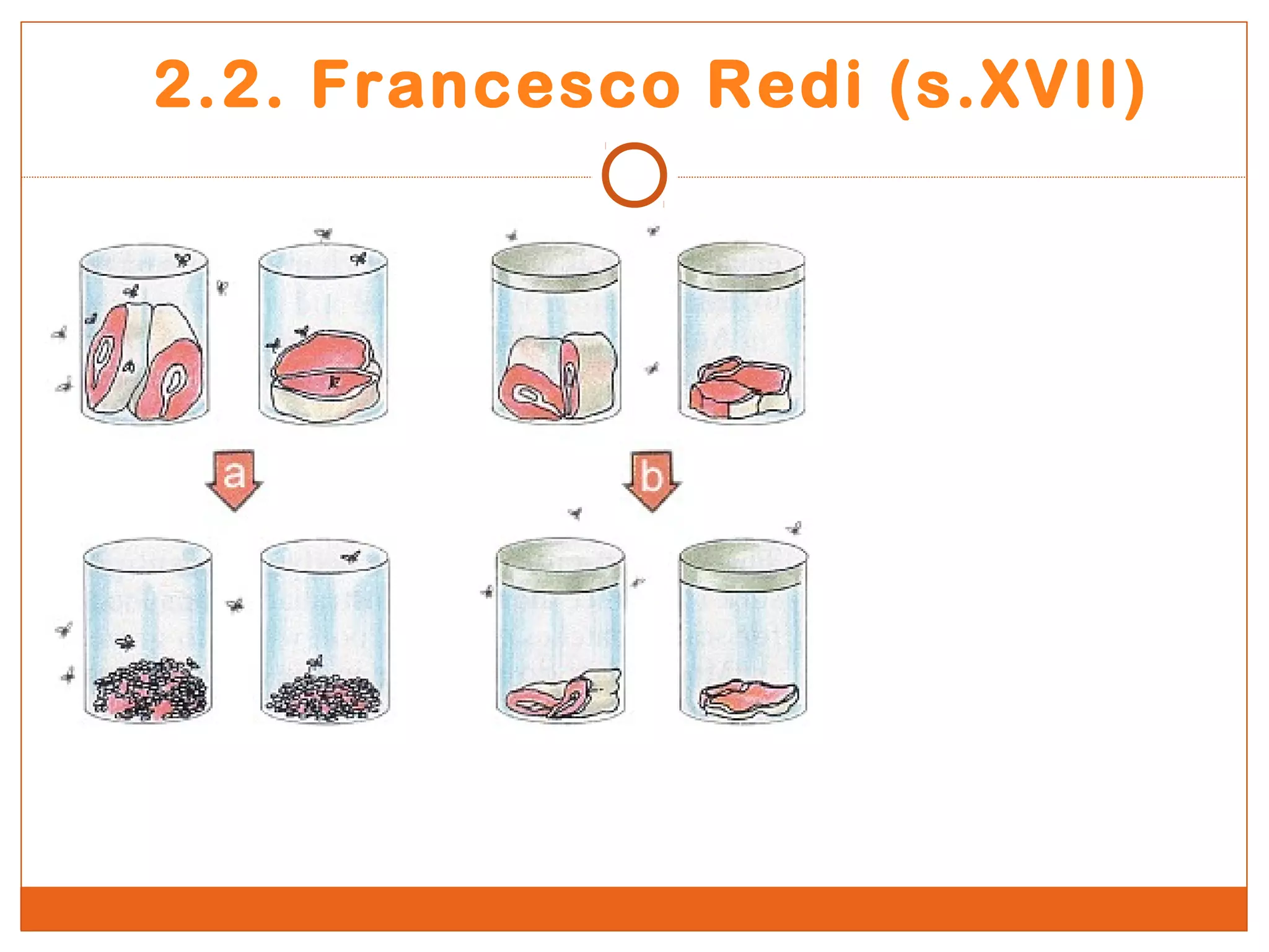 2.2. Francesco Redi (s.XVII) 
 