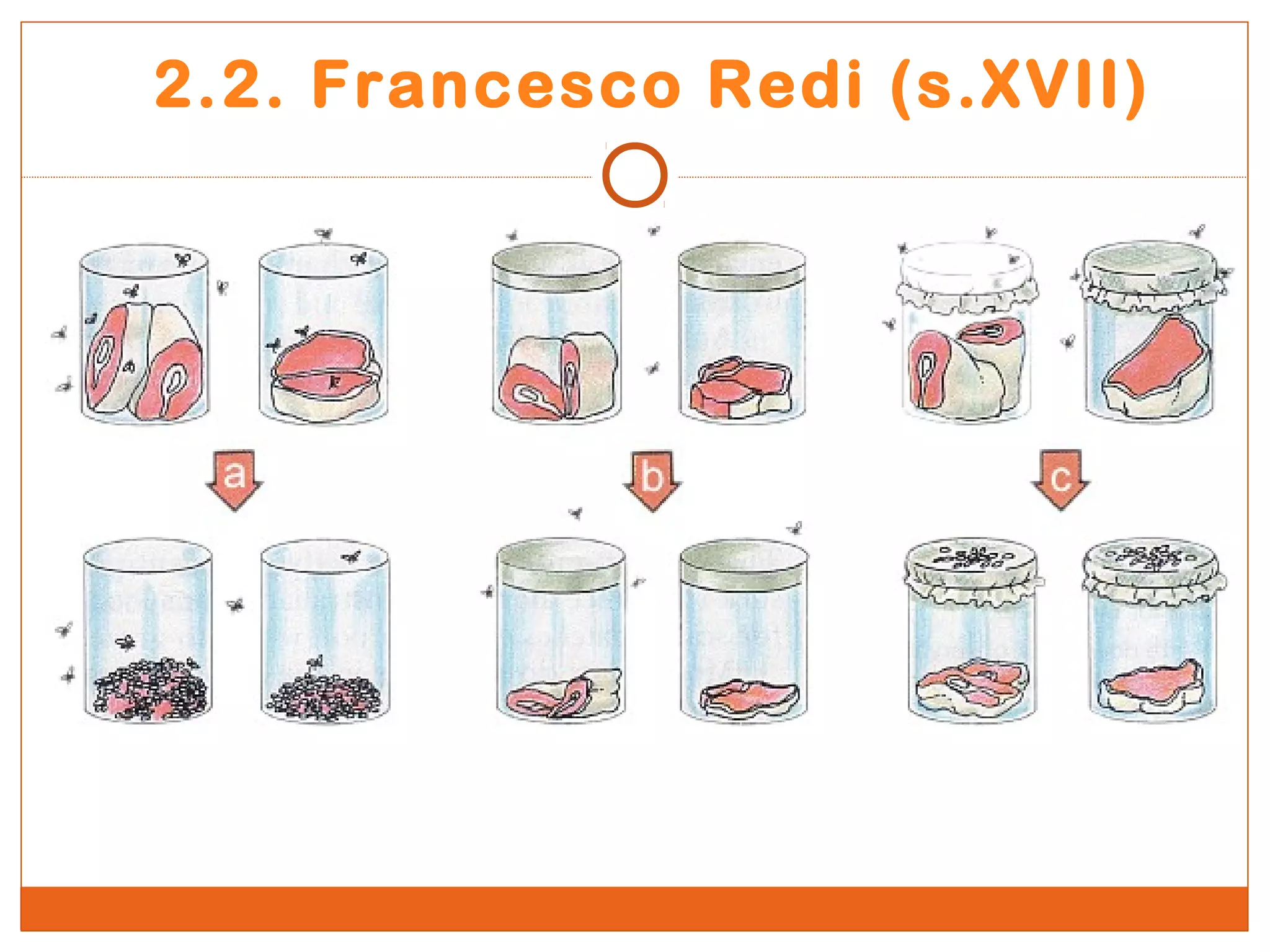 2.2. Francesco Redi (s.XVII) 
 