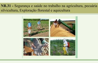 NR.31 - Segurança e saúde no trabalho na agricultura, pecuária
silvicultura, Exploração florestal e aquicultura
 