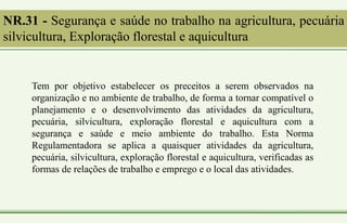 NR.31 - Segurança e saúde no trabalho na agricultura, pecuária
silvicultura, Exploração florestal e aquicultura
Tem por objetivo estabelecer os preceitos a serem observados na
organização e no ambiente de trabalho, de forma a tornar compatível o
planejamento e o desenvolvimento das atividades da agricultura,
pecuária, silvicultura, exploração florestal e aquicultura com a
segurança e saúde e meio ambiente do trabalho. Esta Norma
Regulamentadora se aplica a quaisquer atividades da agricultura,
pecuária, silvicultura, exploração florestal e aquicultura, verificadas as
formas de relações de trabalho e emprego e o local das atividades.
 