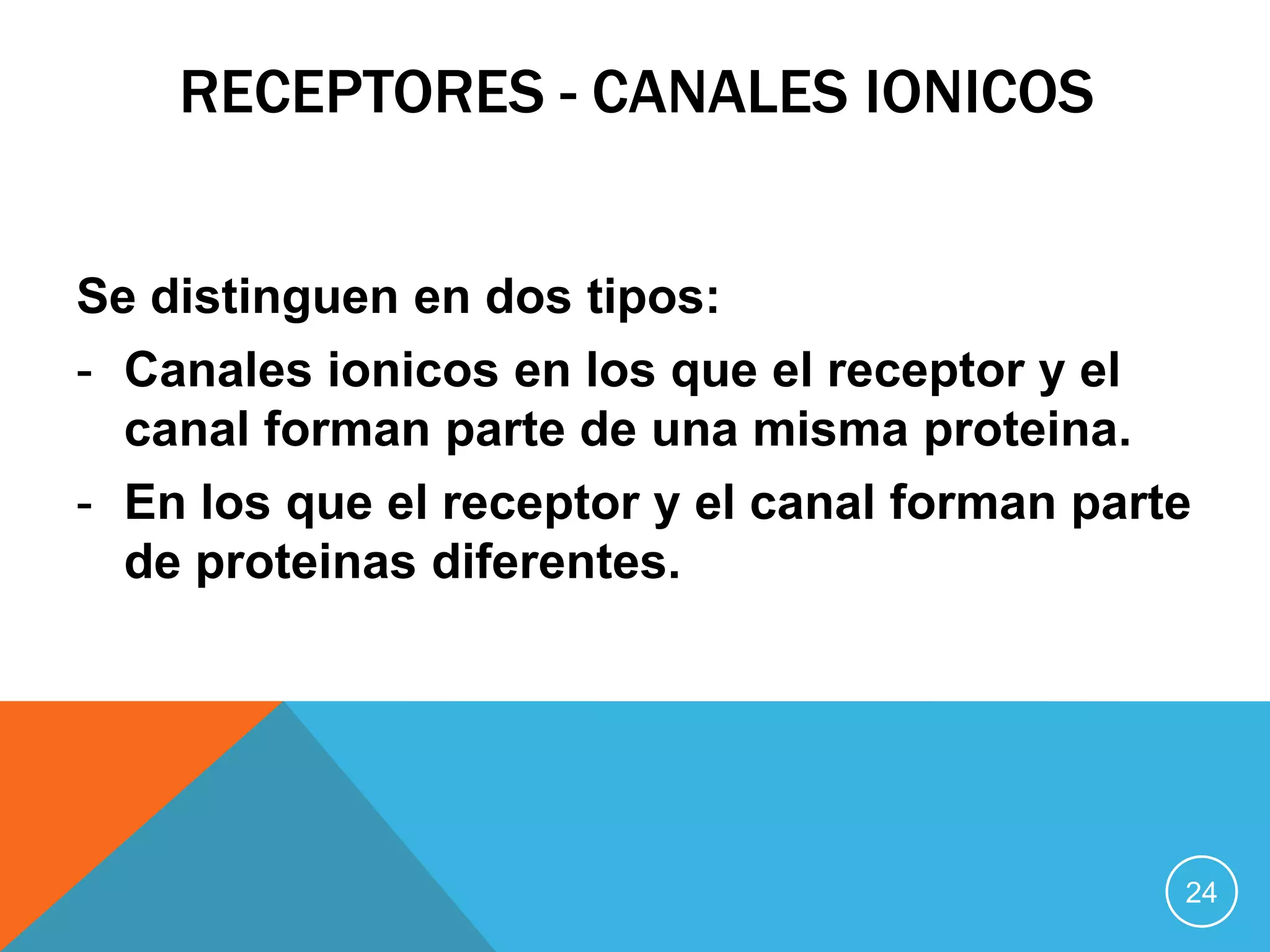 RECEPTORES - CANALES IONICOS
Se distinguen en dos tipos:
- Canales ionicos en los que el receptor y el
canal forman parte de una misma proteina.
- En los que el receptor y el canal forman parte
de proteinas diferentes.

24

 