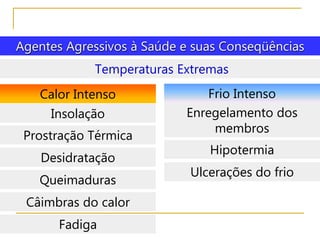 Agentes Agressivos à Saúde e suas Conseqüências
Temperaturas Extremas
Calor Intenso
Insolação
Prostração Térmica
Desidratação
Queimaduras
Câimbras do calor
Fadiga
Frio Intenso
Enregelamento dos
membros
Hipotermia
Ulcerações do frio
 