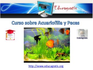 http://www.educagratis.org

 