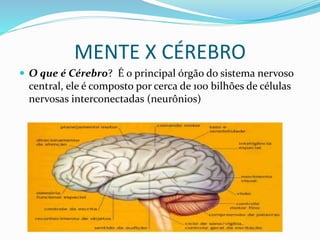 MENTE X CÉREBRO
 O que é Cérebro? É o principal órgão do sistema nervoso
central, ele é composto por cerca de 100 bilhões de células
nervosas interconectadas (neurônios)
 