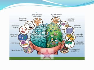 HEMISFÉRIOS CEREBRAIS
 