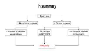 cmaximino@unifesspa.edu.br
In summary
↑ Number of
subdivisions
↑ Number of efferent
connections
↑ Brain size
↑ Number of regions ↑ Size of regions
Modularity
↓ Number of afferent
connections
 